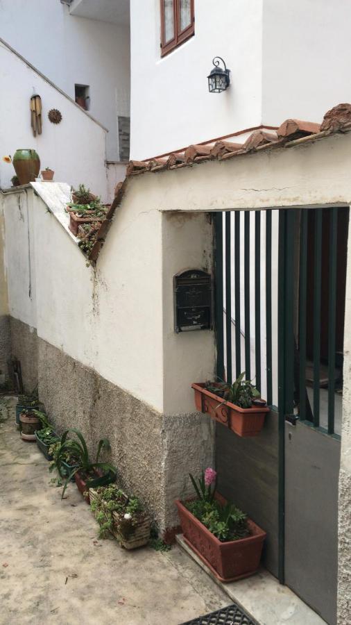 Casa Vacanze Rosa Blu Giffoni Valle Piana Buitenkant foto